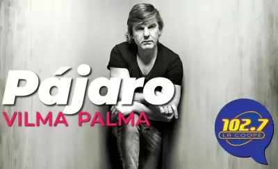 Web-Pájaro-logo