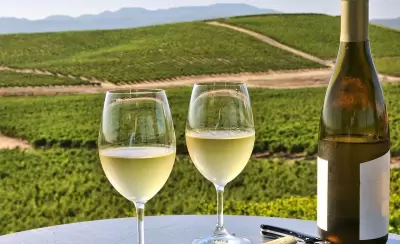 viñedos