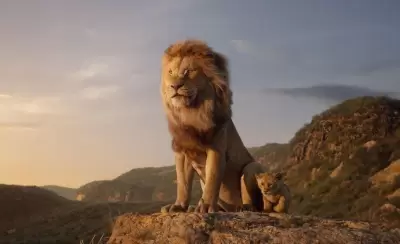 rey-leon