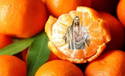 Diseño-sin-título