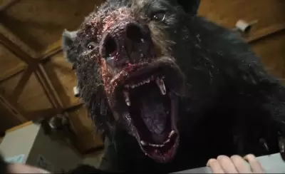coke-bear-png.