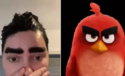 angry-birds-jpeg.