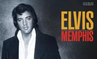 elvis