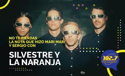 silvestre y la naranja