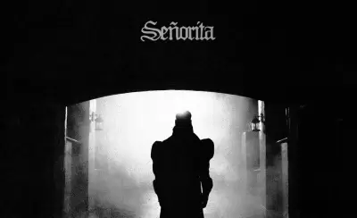 tiago pzk señorita
