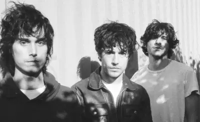 Wallows
