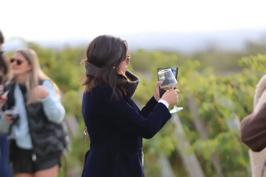 Wine Rock
