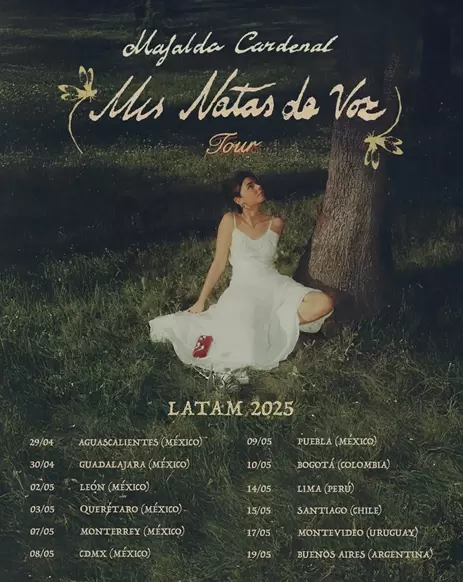 Notas de Voz gira