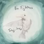 Foo Fighters estrena "Today's Song" en su 30 aniversario