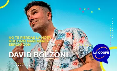 david bolzoni