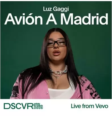 Luz Gaggi avión a Madrid