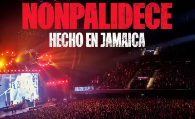 Nonpalidece